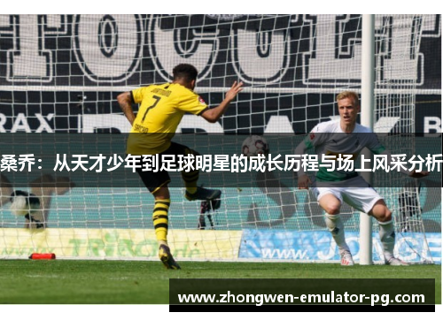 桑乔：从天才少年到足球明星的成长历程与场上风采分析